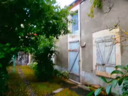 vente commerce 55 m² les bordes (36100)