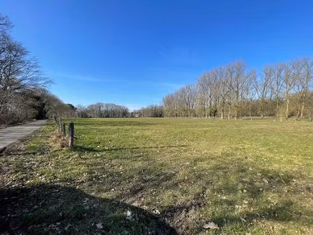 terrain agricole à vendre à vuilvoort 2b herentals (rbw33987)