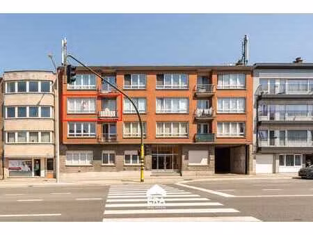 appartement à louer dans le centre de dilbeek