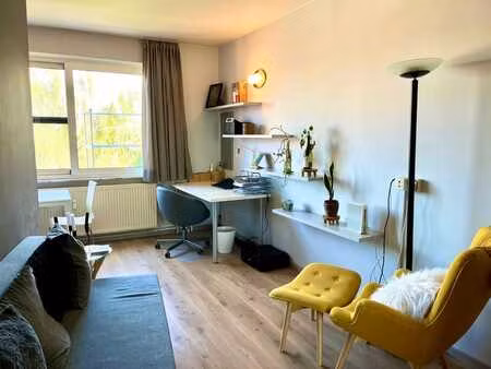 studio meublé lumineux et calme (36 m²) au centre ville