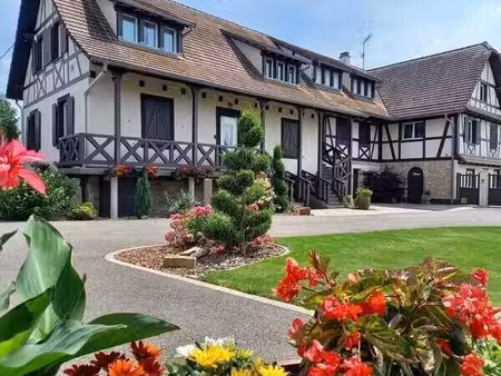 près de benfeld  domaine de gîtes rénové fort potentiel touristique