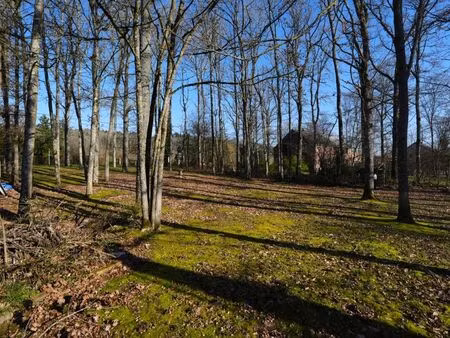 terrain à vendre à barvaux-sur-ourthe € 100.000 (lps24) - era b-lux (durbuy) | zimmo