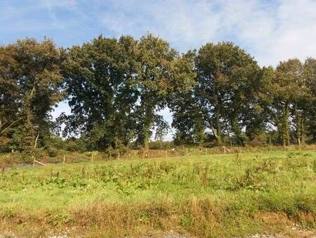 trecobat morlaix