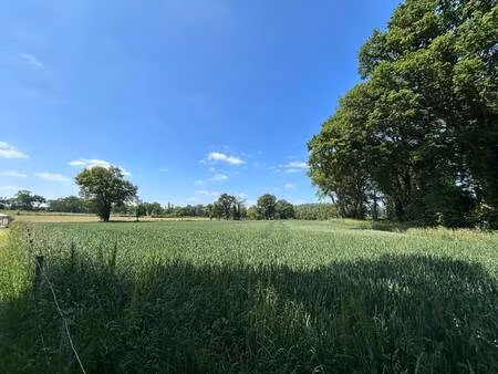 terrain constructible viabilisé à vendre