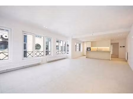 stijlvol volledig gerenoveerd appartement