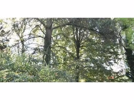maison lyon 5ᵉ (69)