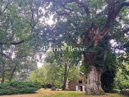 dans l'ancien pays du porhoët  à quelques kilomètres de ploërmel  un presbytère du 18e s..