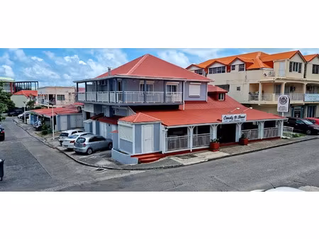 vente immeuble 508 m² saint-martin (65360)