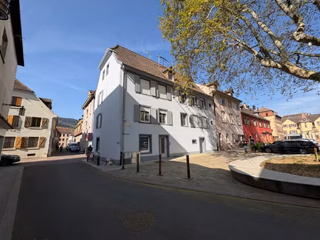 immeuble de rapport 4 logements et 1 local commercial