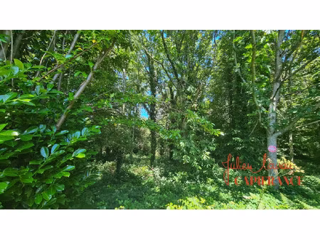 terrain à vendre scaer 45519m2 41 000€