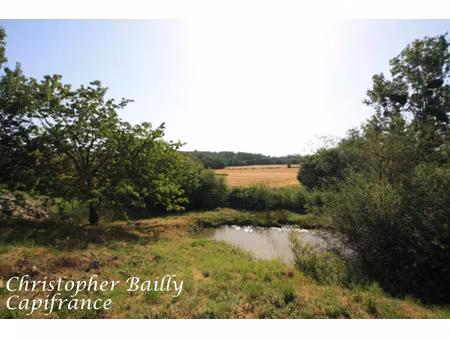terrain à vendre saint leger sur vouzance 2339m2 34 900€