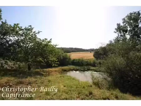 terrain à vendre saint leger sur vouzance 3239m2 34 900€