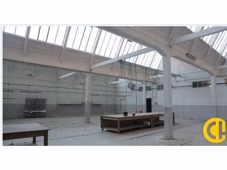 location commerce anse 69480 3930m²