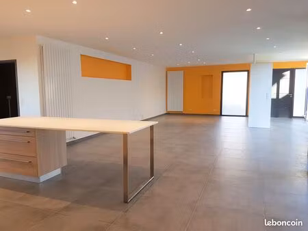 appartement ou maison de ville de 175m² d’architecte. libre début septembre centre de st a