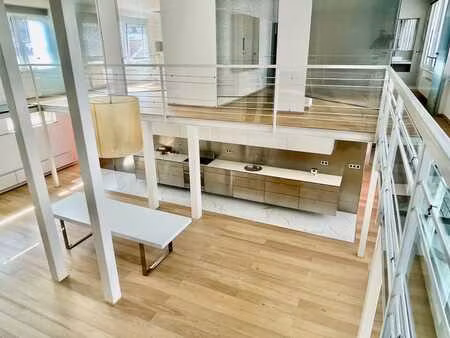 loft penthouse 300sqm + rooftop 100sqm + p / eu area