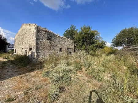 terrain