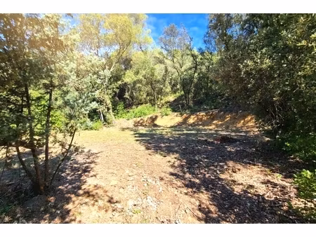annonce terrain à vendre