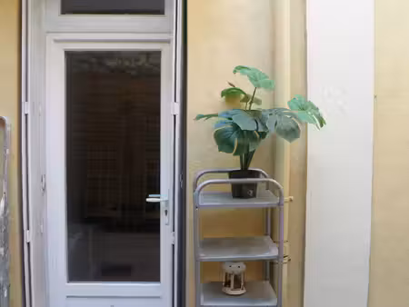 logement t3 colocation possible