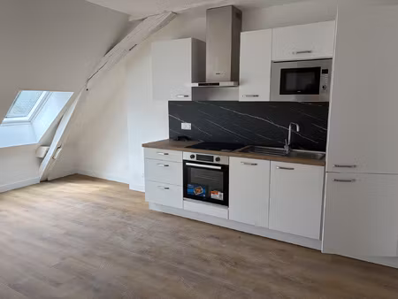 appartement t3 en hyper centre