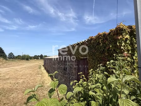 vente maison 3 pièces 296 m² vieillevigne (44116)