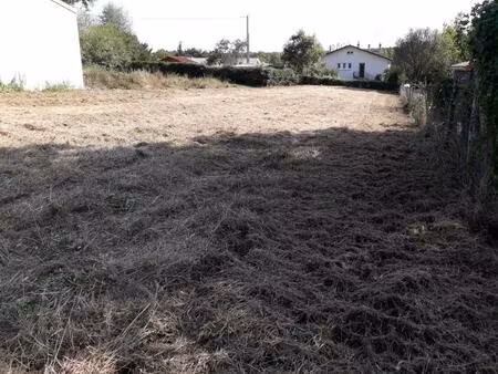 terrain constructible