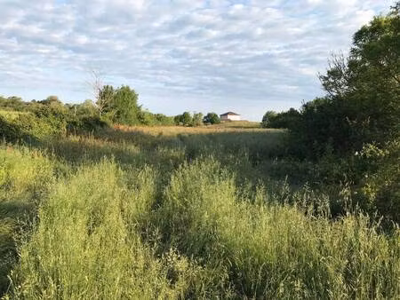 terrain à vendre