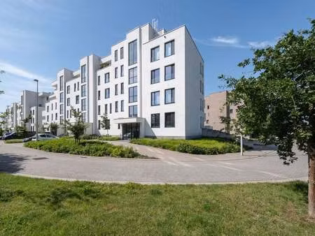 appartement à vendre à beveren-waas € 575.000 (lpt6c) | zimmo