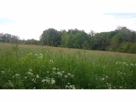 vente terrain 3700 m² à saint-jean-d'ataux (24190)  33 500 €