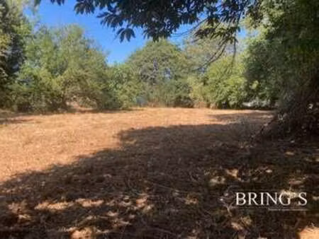 vente terrain à elven (56250) : à vendre / 813m² elven