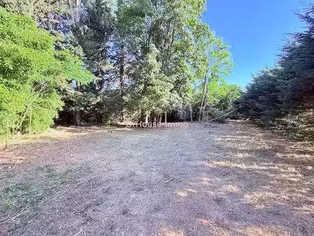 vente terrain 972 m² à saint-sauveur (33250)  75 000 €