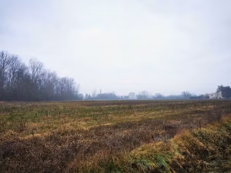 vente terrain 735 m² à viterbe (81220)  58 000 €