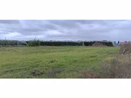 vente terrain 597 m² à bressols (82710)  72 000 €