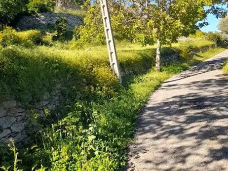vente terrain 493 m² à santo-pietro-di-tenda (20246)  68 000 €