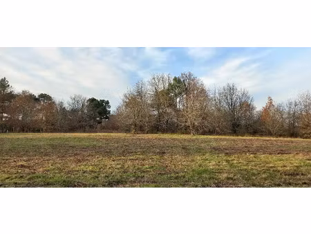 vente terrain 11830 m² à saint-laurent-des-hommes (24400)  75 000 €