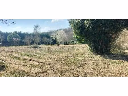 terrain constructible