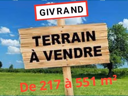 terrain à givrand (85800)