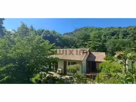 villa avec jardin villefort (48)