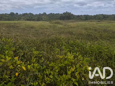vente terrain 10000 m² à baie mahault (97122)  2 290 000 €