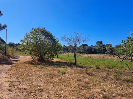 vente terrain 404 m² à frejus (83600)  253 000 €