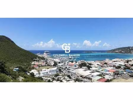 terrain saint-martin (65)