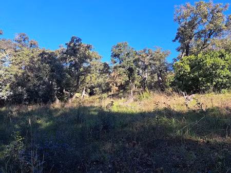 vente terrain 1726 m² à saint-raphael (83700)  640 000 €