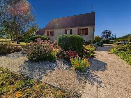 palmer immobilier