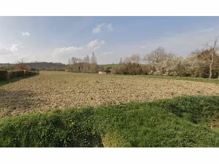 vente terrain 500 m² à vieillevigne (31290)  99 000 €