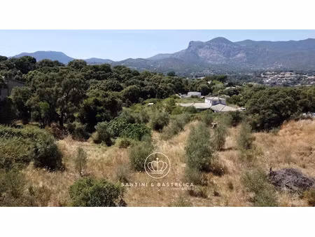 vente terrain à batir 2654 m² à cuttoli-corticchiato (20167)  233 000 €
