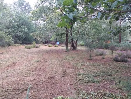 vente terrain 550 m² à andernos-les-bains (33510)  234 000 €