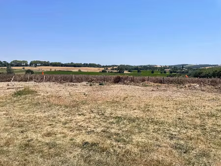 vente terrain 1153 m² à escalquens (31750)  250 000 €