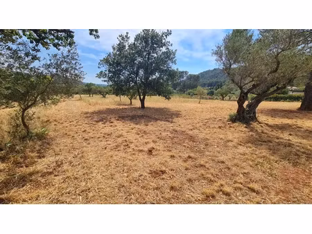 vente terrain 3625 m² à cuers (83390)  315 000 €