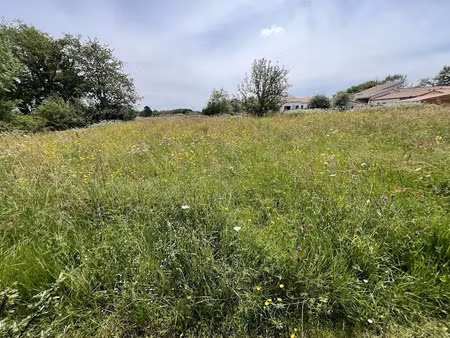 vente terrain à batir 4000 m² à vertou (44120)  750 000 €