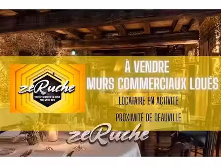vente locaux professionnels 7 pièces 417 m² à pont-l'eveque (14130)  376 000 €