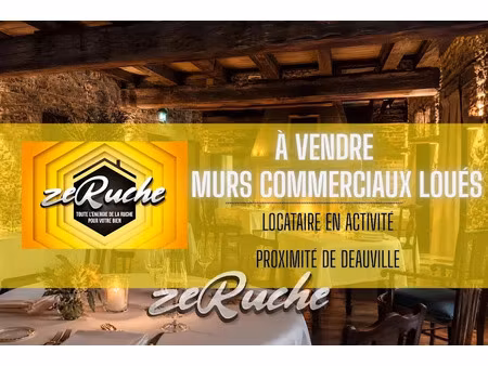 vente locaux professionnels 7 pièces 417 m² à saint-martin-aux-chartrains (14130)  376 000